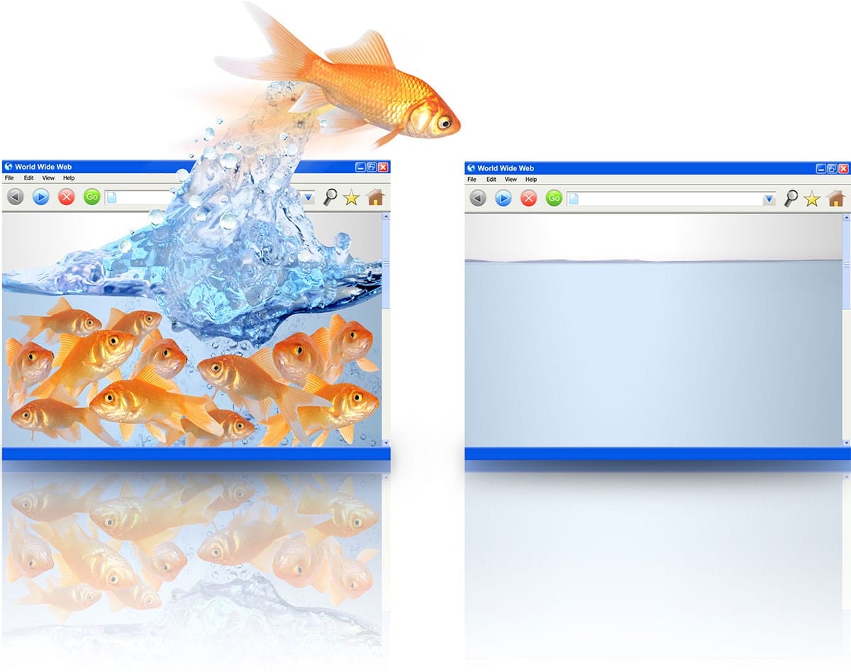 website-hosting-services