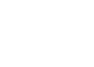 FXV Digital Design