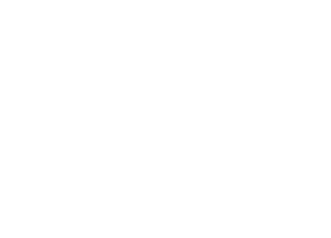 FXV Digital Design