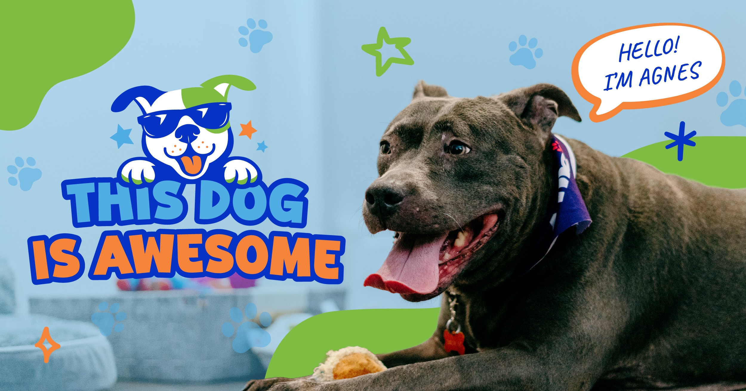 This Dog is Awesome: Agnes | FXV Digital Design