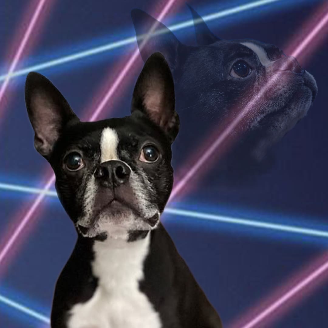 Otis | FXV Digital Design